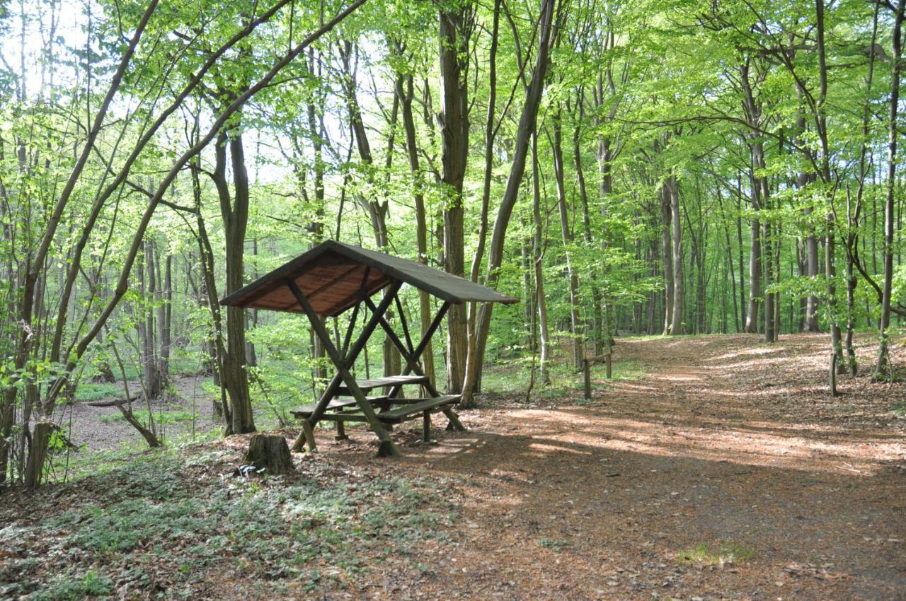 Ferienhaus Caselow 23 Bergholz Bagian luar foto