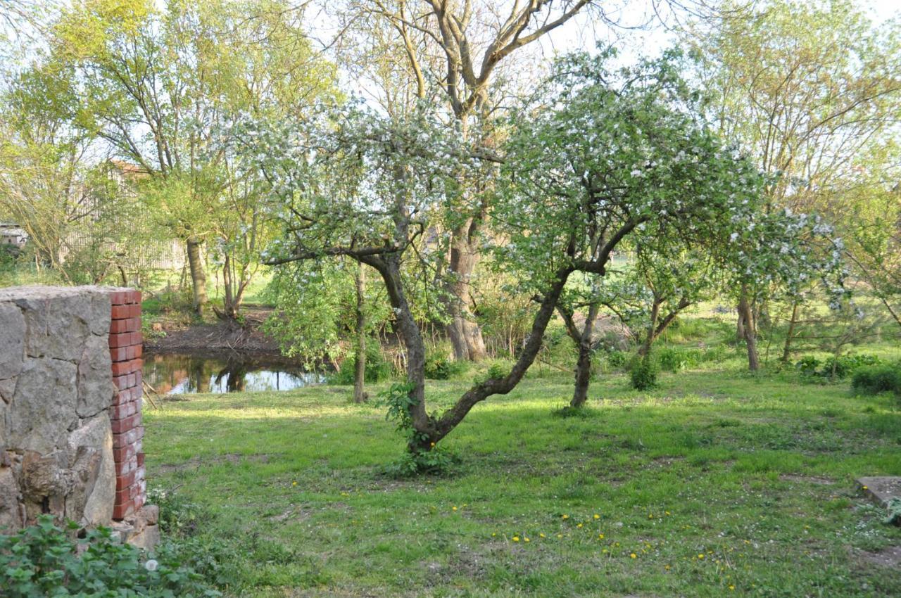 Ferienhaus Caselow 23 Bergholz Bagian luar foto