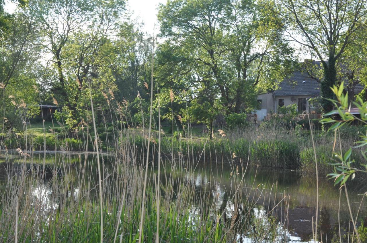 Ferienhaus Caselow 23 Bergholz Bagian luar foto