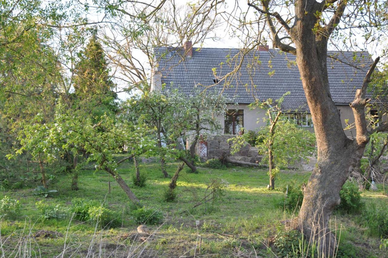 Ferienhaus Caselow 23 Bergholz Bagian luar foto